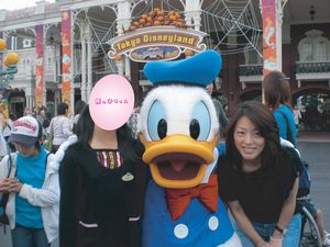 TDL01.jpg