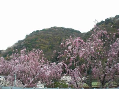 arashiyama01.jpg