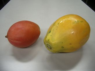 mango01.jpg